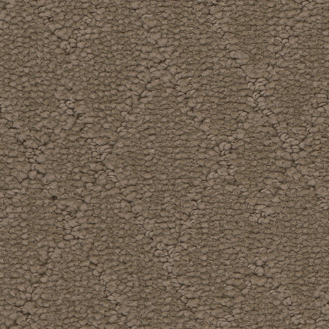 Windham carpet in Summit 829