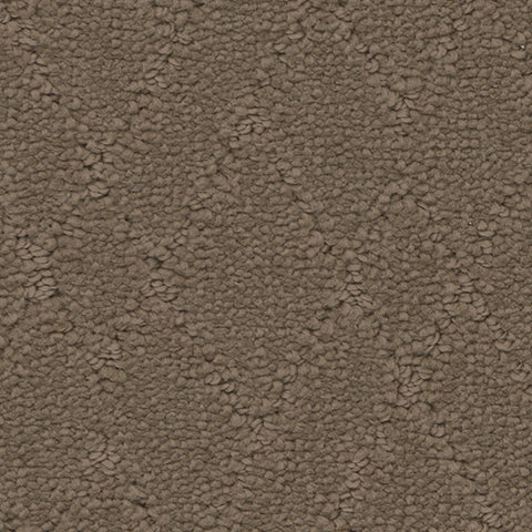 Windham carpet in Terrain 848