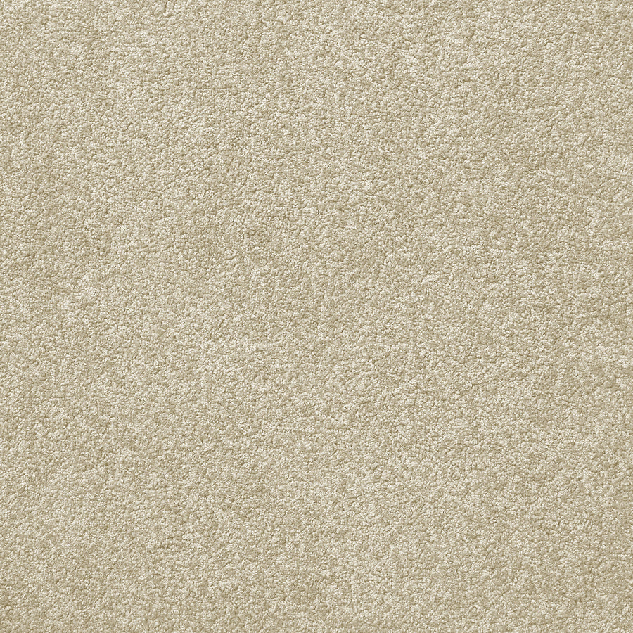 Centura Barbados 35 Cream Carpet