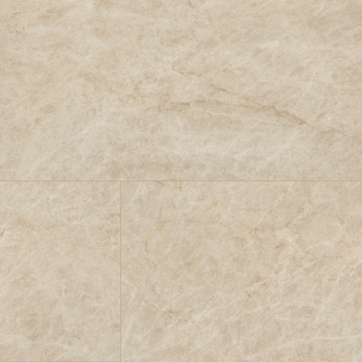 Exotika Crystal Taj 24 x 48 Polished Porcelain Tile