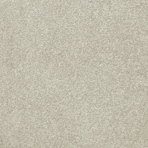 Centura Barbados 30 Fossil carpet swatch