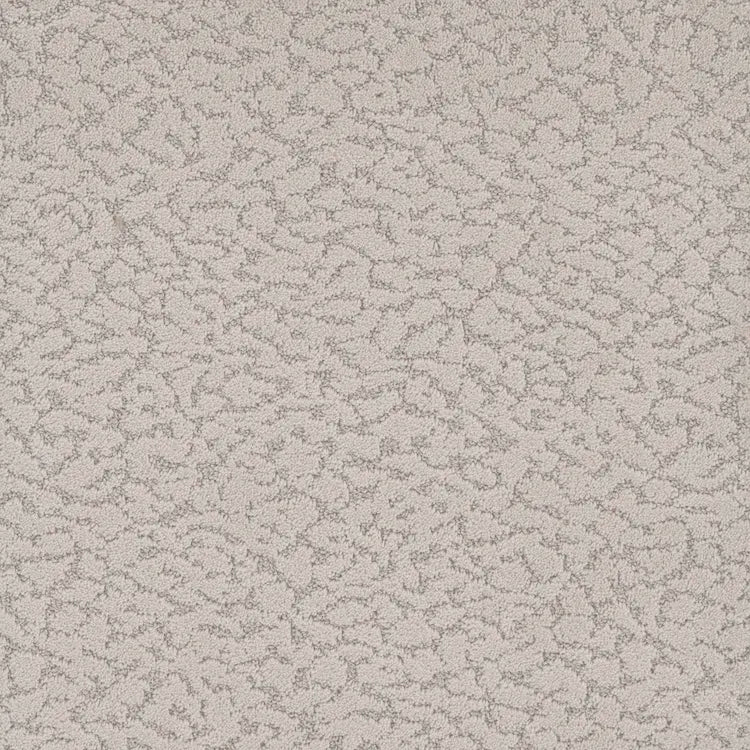 Maxwell Carpet