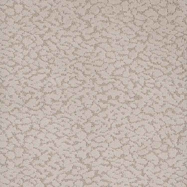 Maxwell Carpet
