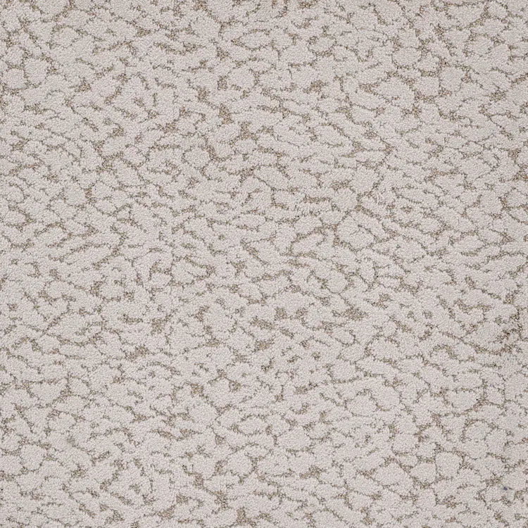 Maxwell Carpet