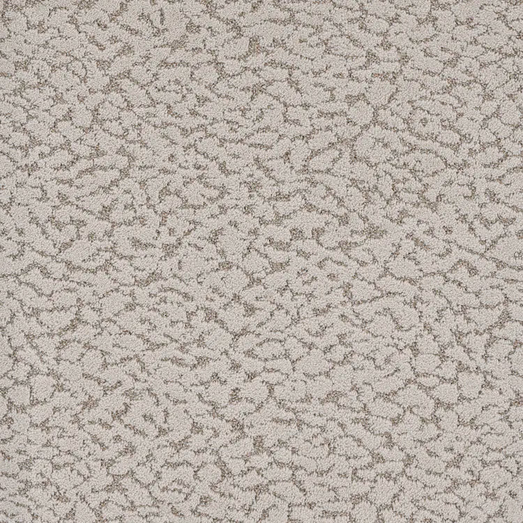 Maxwell Carpet