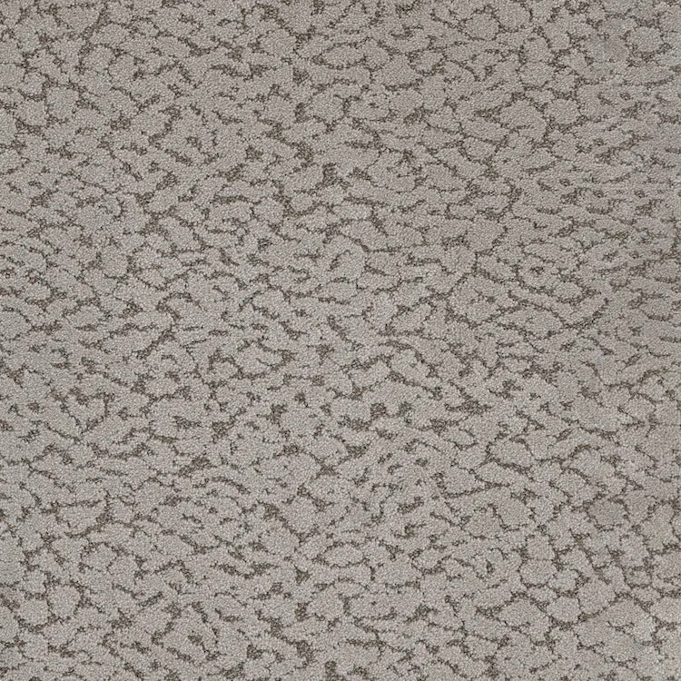 Maxwell Carpet