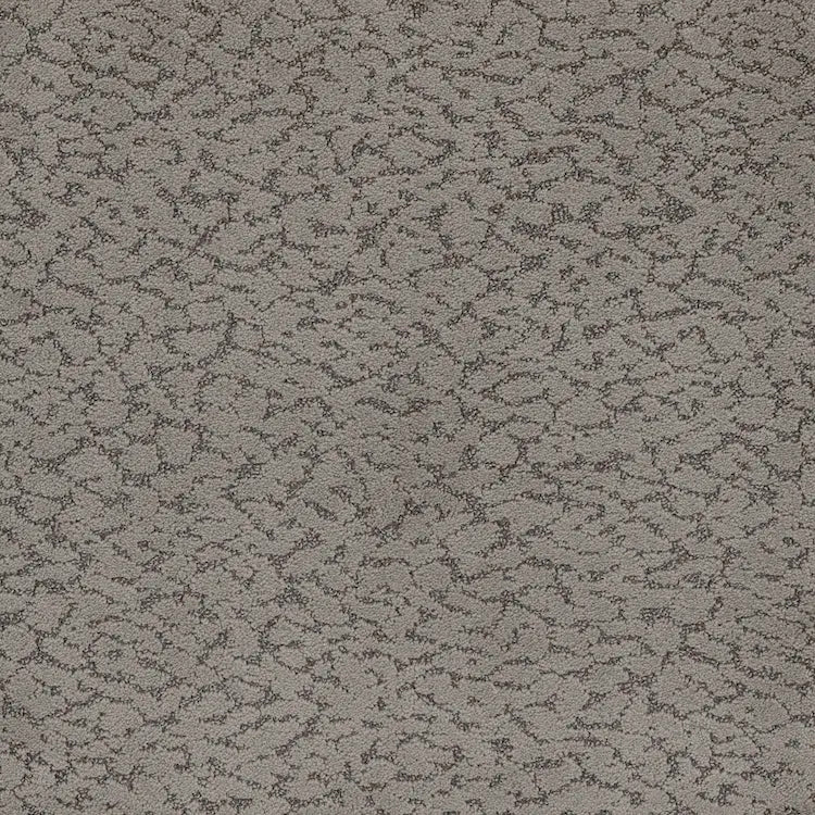 Maxwell Carpet