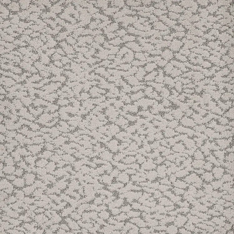 Maxwell Carpet