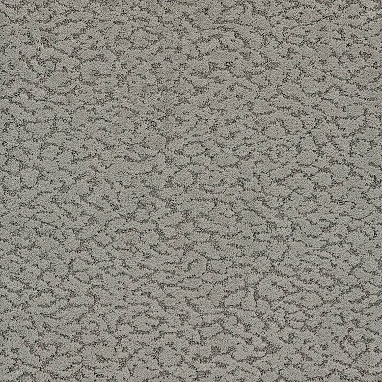 Maxwell Carpet