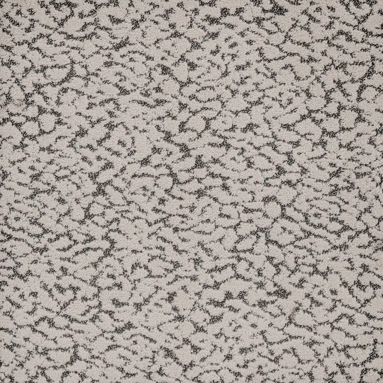 Maxwell Carpet