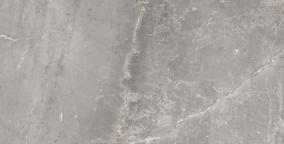 Sarana Charme Gray Porcelain Tile 30x60cm