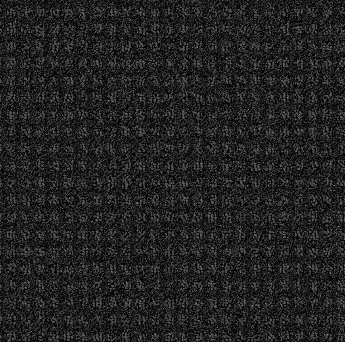 Centura Seascape Graphite carpet swatch