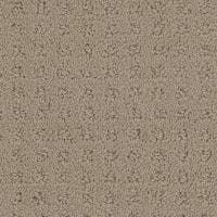 Debut Carpet