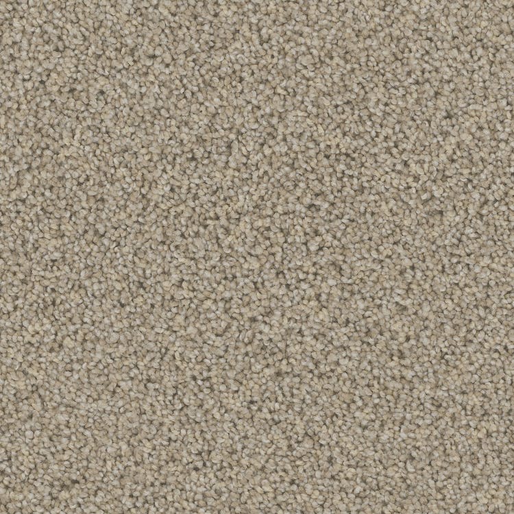 Catania Carpet