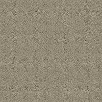 Debut Carpet