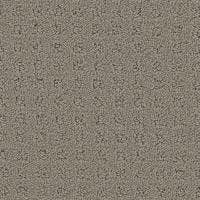 Debut Carpet