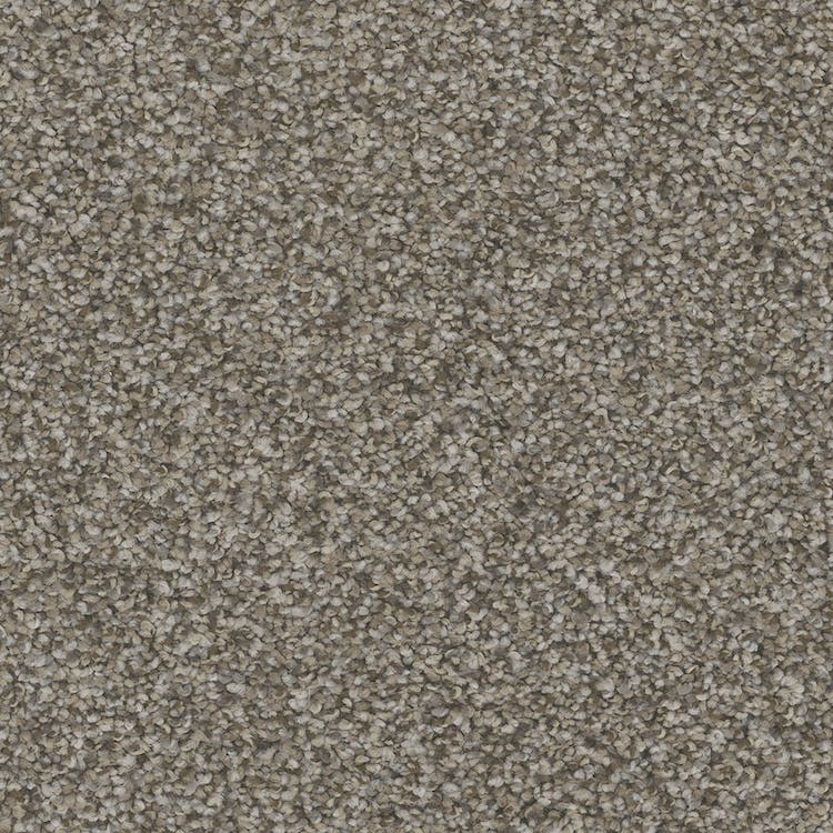 Catania Carpet