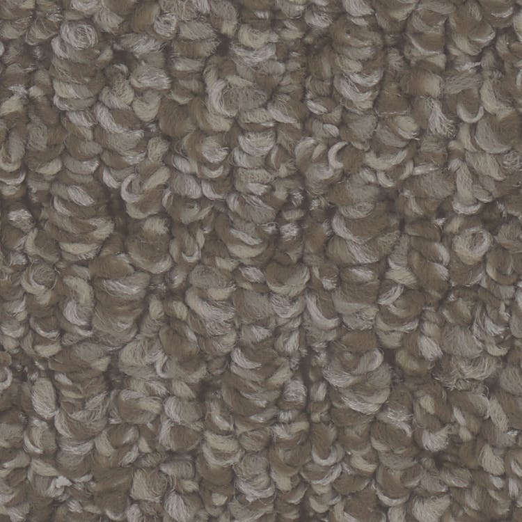 Cardigan Carpet