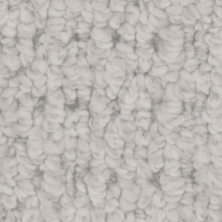 Cardigan Carpet