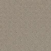Debut Carpet