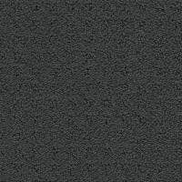 Debut Carpet