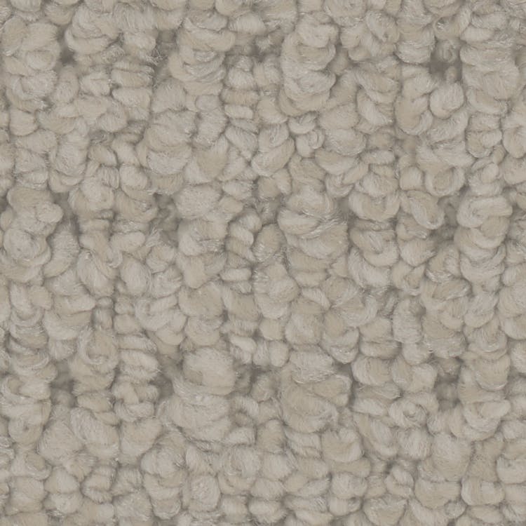 Cardigan Carpet