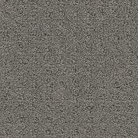 Debut Carpet