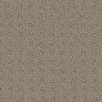 Debut Carpet