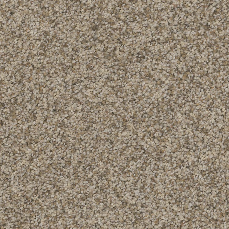 Catania Carpet