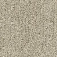 All Inclusive Carpet