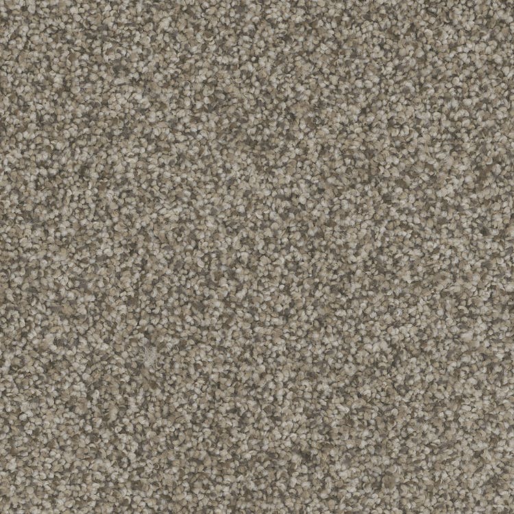 Catania Carpet