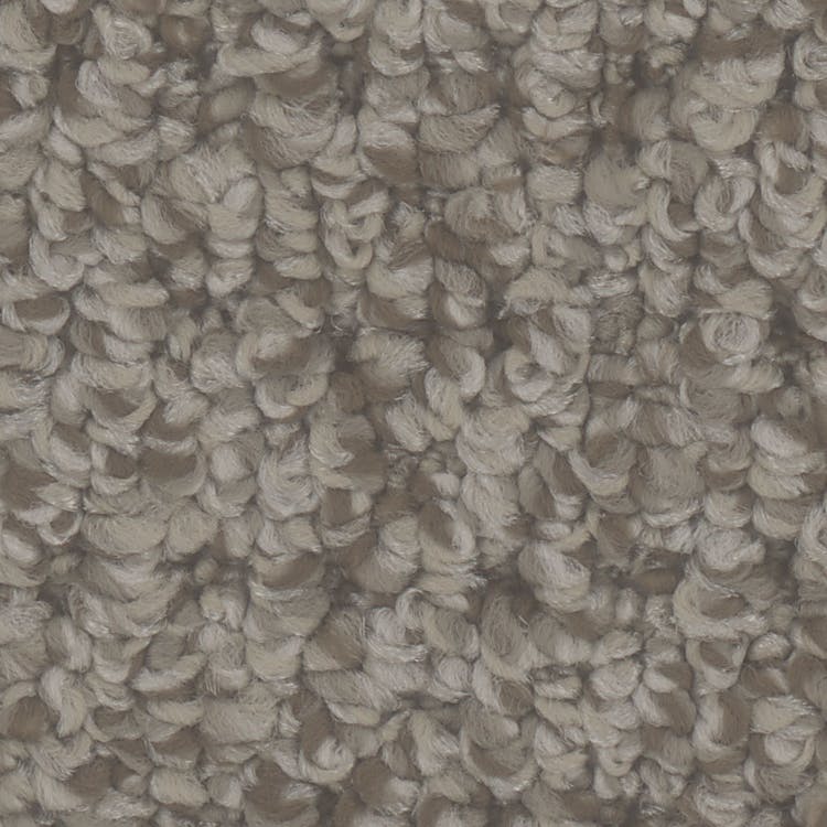 Cardigan Carpet