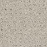 Debut Carpet
