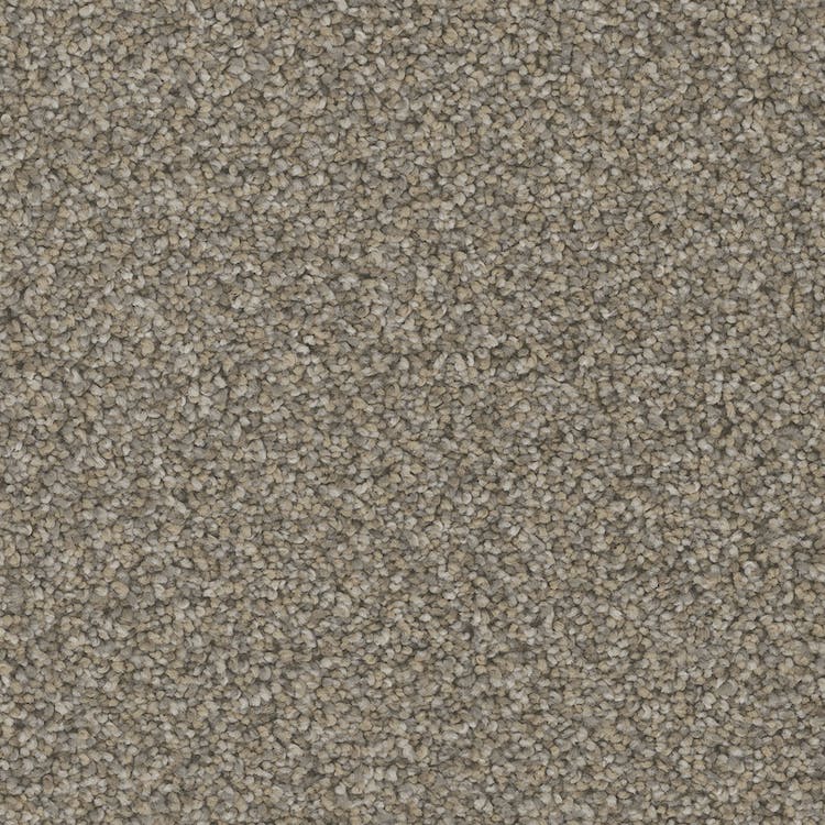 Catania Carpet