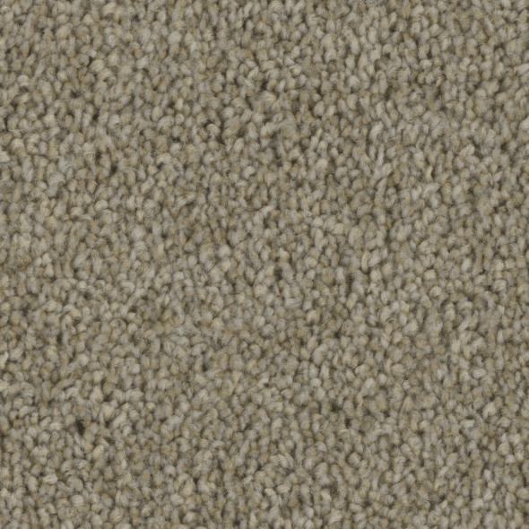 Phenix Entice Carpet - Compel 733