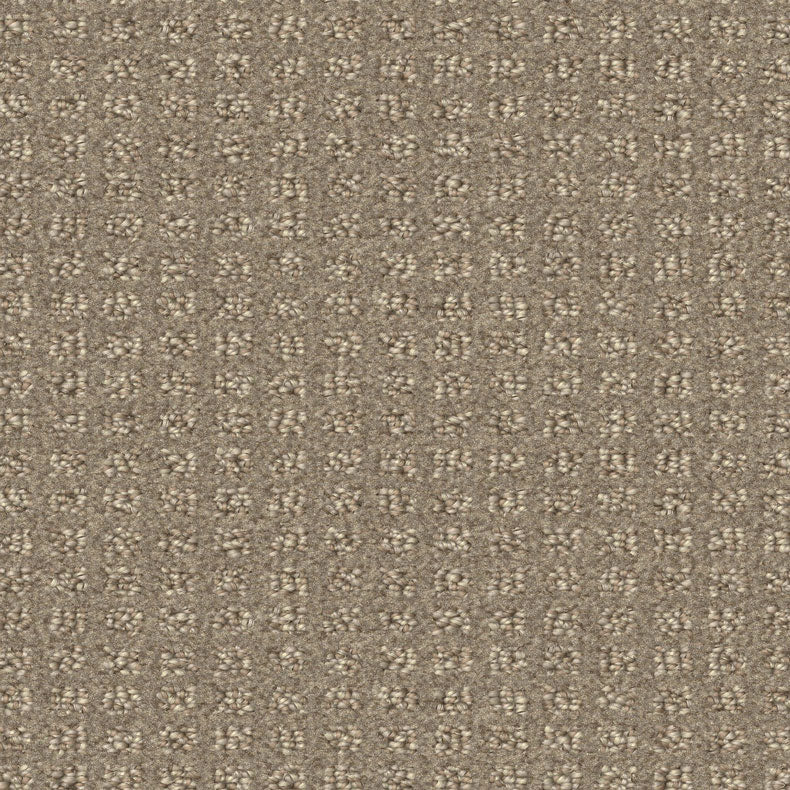 Centura Seascape Prairie Coming Soon carpet swatch