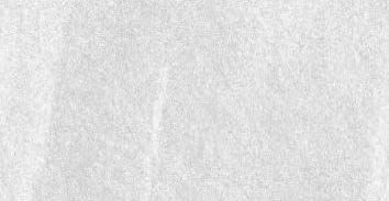 Windsor Grey Matte Wall Tile