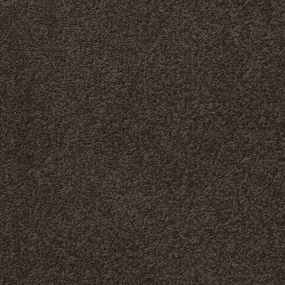 Centura Barbados 35 Rocky Shore carpet swatch
