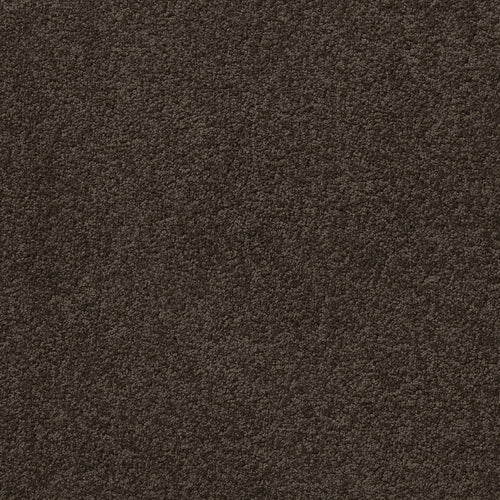 Centura Barbados 30 Rocky Shore carpet swatch