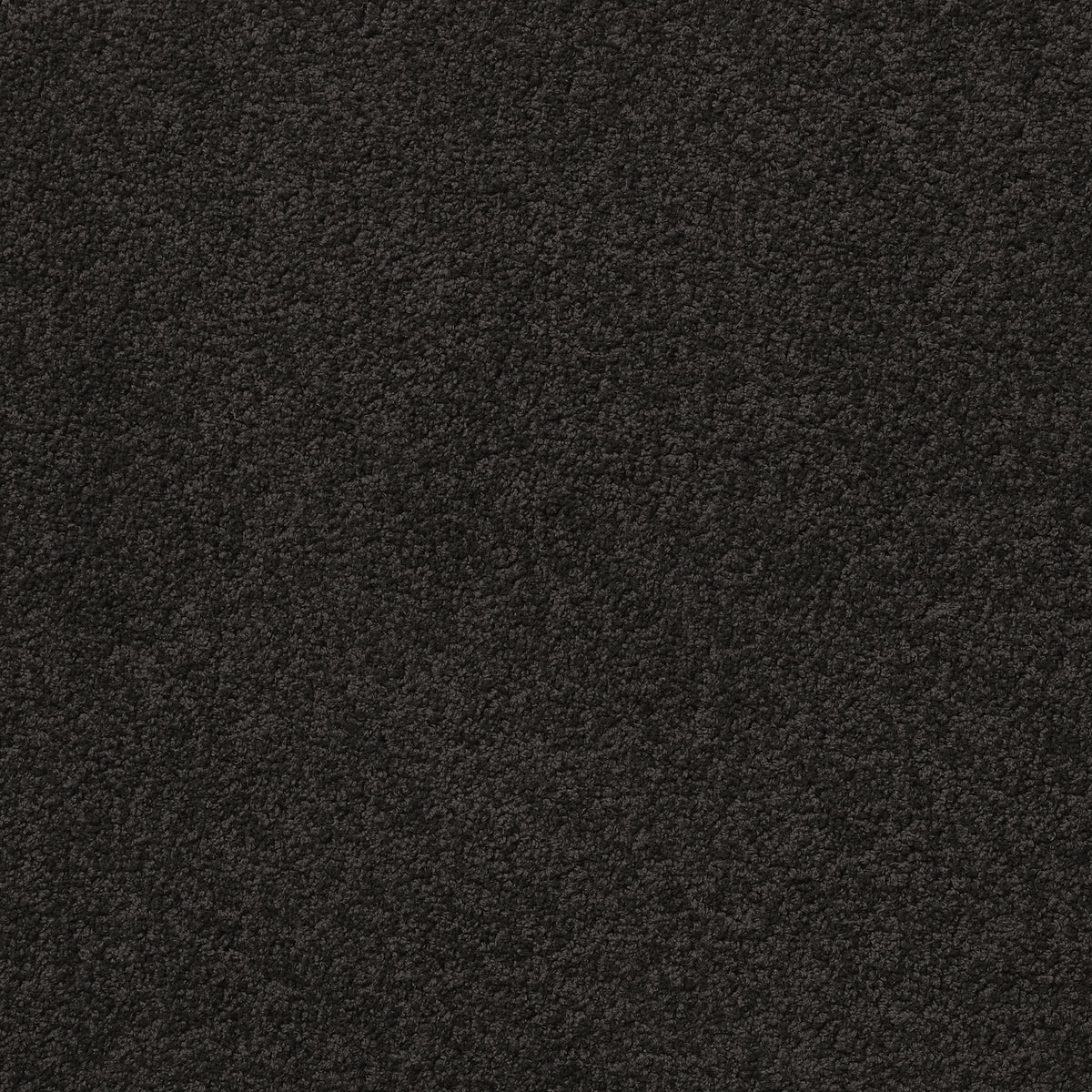 Centura Barbados 30 Charcoal carpet swatch