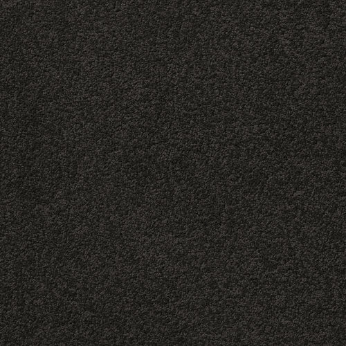 Centura Barbados 30 Charcoal carpet swatch