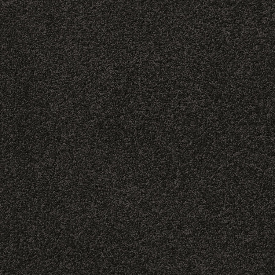 Centura Barbados 30 Charcoal Carpet