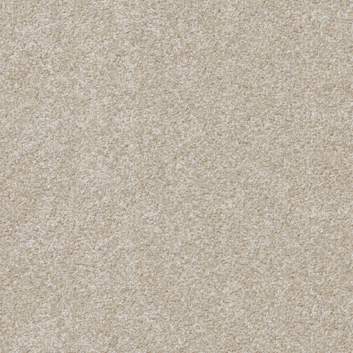 Centura Bessemer 791 carpet swatch