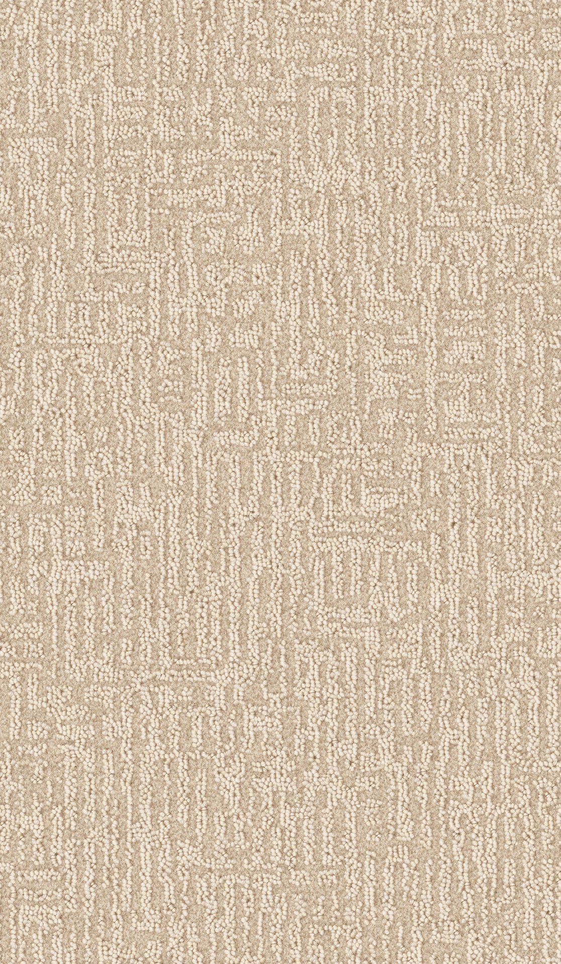 Centura Extasy 1091 carpet swatch