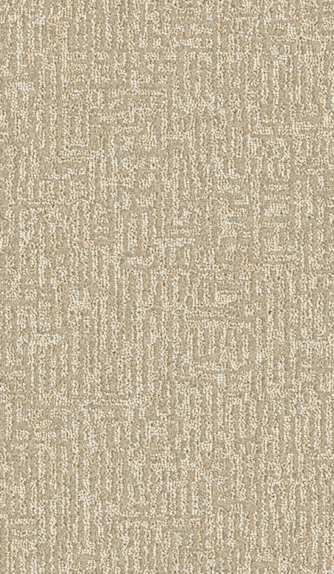 Centura Extasy 1093 carpet swatch