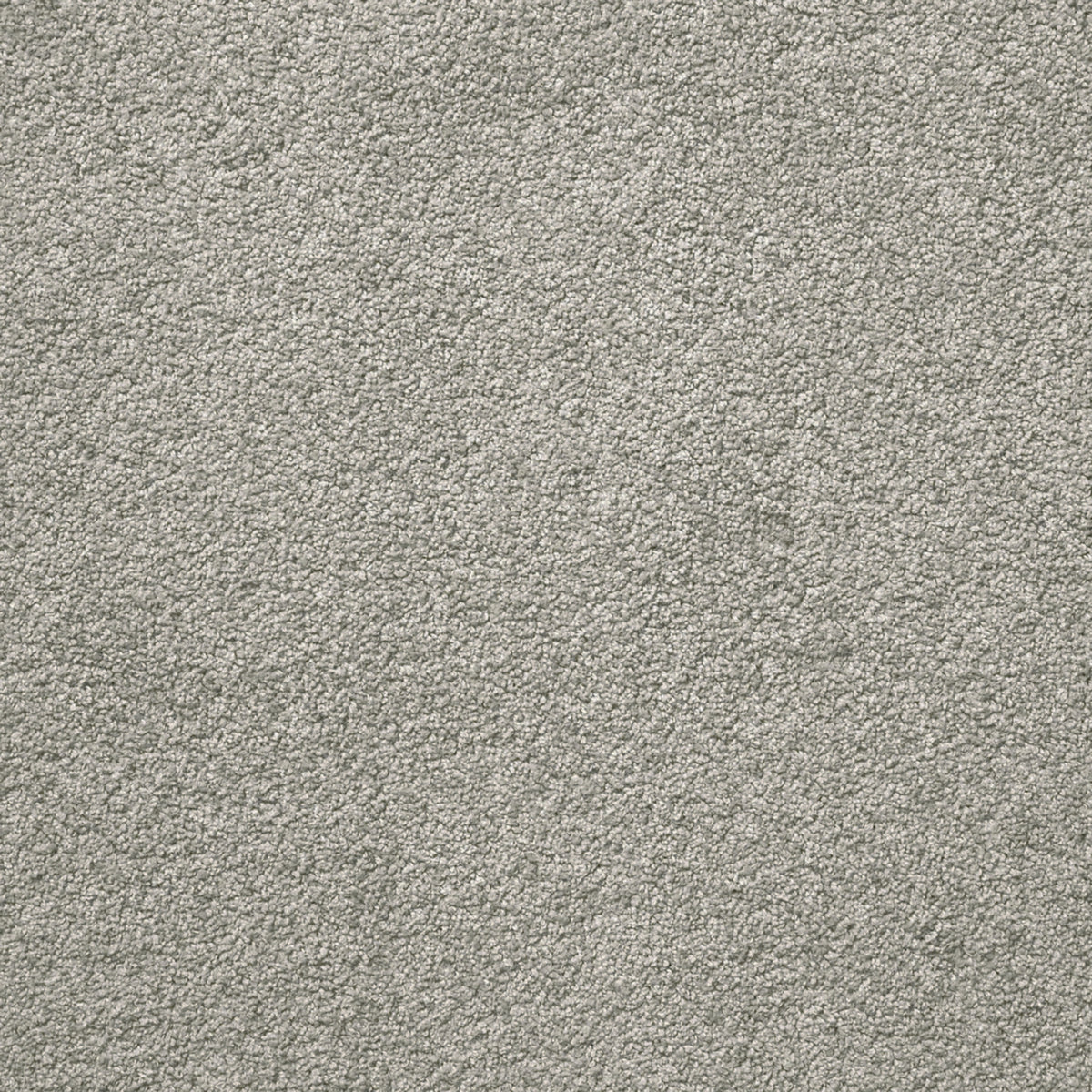 Centura Posh 1571 1 carpet swatch
