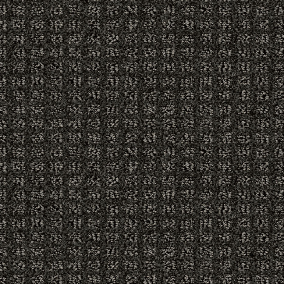 Centura Seabrook Sr1278 carpet swatch