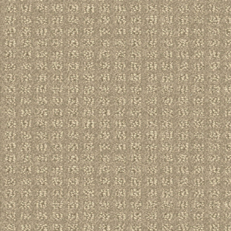 Centura Seabrook Sr1291 carpet swatch