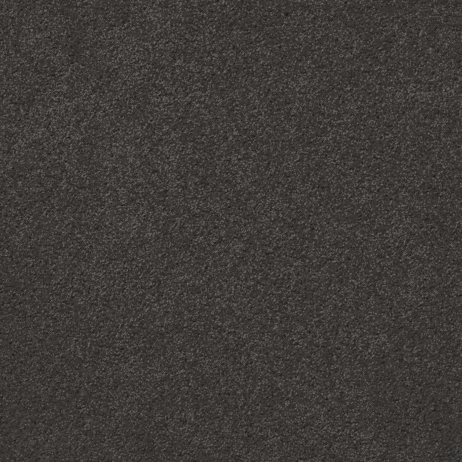 Centura West Coast 1273 Carpet