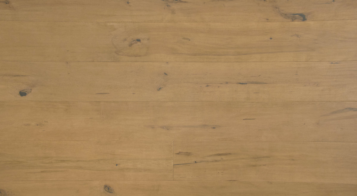 Grandeur Divine Taurus Maple engineered hardwood
